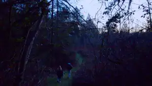 Backdrop to the movie "What