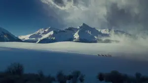 Backdrop to the movie "The Hateful Eight" #582699