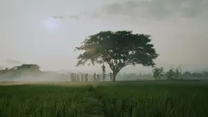 Backdrop to the movie "The Hole, 309 Days to the Bloodiest Tragedy" #536791