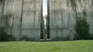 Backdrop to the movie "The Maze Runner" #234587