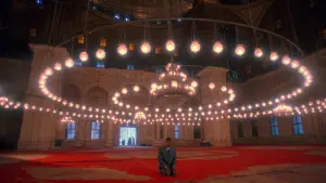 Backdrop to the movie "Malcolm X" #807096