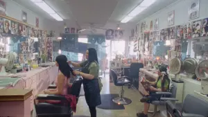 Backdrop to the movie "Dalila