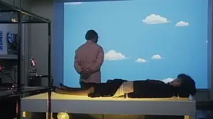 Backdrop to the movie "Flight Attendant: Scandal" #833508