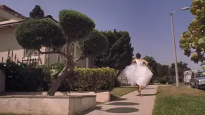 Backdrop to the movie "Secretary" #718481