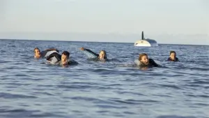 Backdrop to the movie "The Reef" #384279