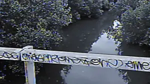 Backdrop to the movie "Theoretical: Sully Unreleased Clips" #450889