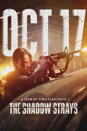 Poster to the movie "The Shadow Strays" #631102