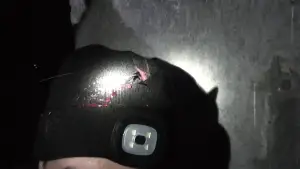 Backdrop to the movie "Ghost of Prague" #681821