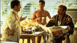 Backdrop to the movie "The Birdcage" #847301