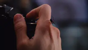 Backdrop to the movie "Spider-Man" #550142