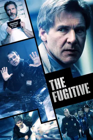 Poster to the movie "The Fugitive" #773243
