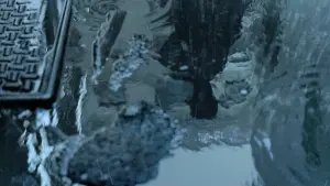 Backdrop to the movie "Se7en" #554679