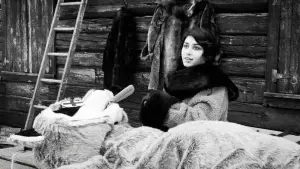 Backdrop to the movie "Hundreds of Beavers" #756239