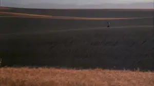 Backdrop to the movie "Days of Heaven" #716387