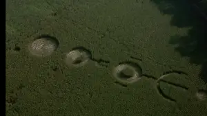 Backdrop to the movie "Signs" #670298