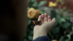 Backdrop to the movie "Sentimental Value" #761189