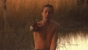 Backdrop to the movie "The Notebook" #752602