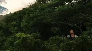 Backdrop to the movie "The Hunger Games: Catching Fire" #625207