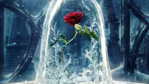 Backdrop to the movie "Beauty and the Beast" #575297