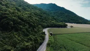 Backdrop to the movie "Khao Kala" #837764