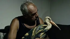 Backdrop to the movie "The Tale of Silyan" #540304