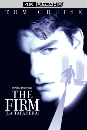 Poster to the movie "The Firm" #658571