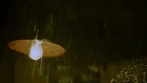 Backdrop to the movie "In the Mood for Love" #527314