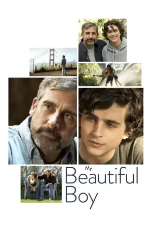 Poster to the movie "Beautiful Boy" #98540