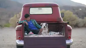 Backdrop to the movie "Aristotle and Dante Discover the Secrets of the Universe" #747054