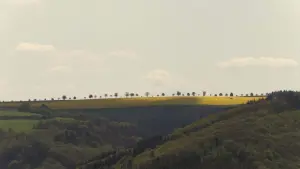 Backdrop to the movie "Grote Vraag" #464528