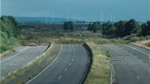 Backdrop to the movie "Leaning on the tree" #541436