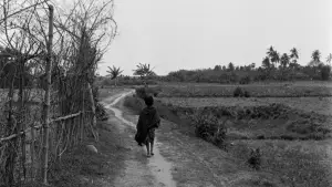 Backdrop to the movie "Pather Panchali" #751184