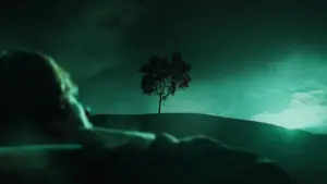 Backdrop to the movie "The Ring" #636358