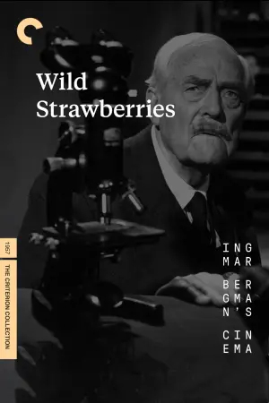 Poster to the movie "Wild Strawberries" #177611