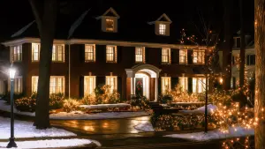 Backdrop to the movie "Home Alone" #849041