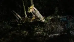 Backdrop to the movie "Lumpaz" #547818