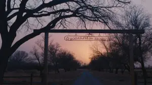 Backdrop to the movie "National Anthem" #780143