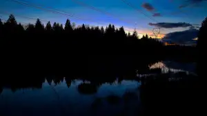 Backdrop to the movie "What