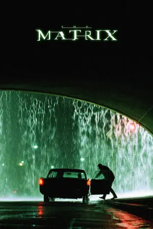 Poster to the movie "The Matrix" #797888