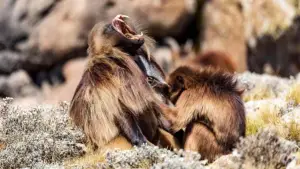 Backdrop to the movie "Le royaume des nuages" #800285