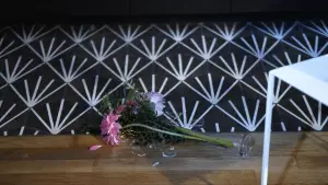 Backdrop to the movie "De l