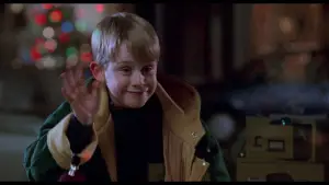 Backdrop to the movie "Home Alone 2: Lost in New York" #566984