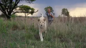 Backdrop to the movie "Mia and the White Lion" #225687