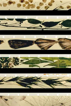 Poster to the movie "Mothlight" #703605