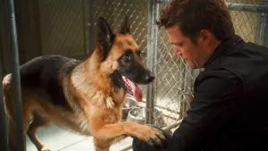 Backdrop to the movie "Cats & Dogs: The Revenge of Kitty Galore" #321492