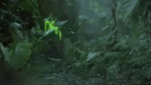 Backdrop to the movie "Predator" #559776