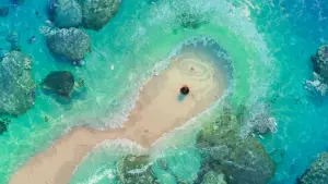 Backdrop to the movie "Moana" #629492