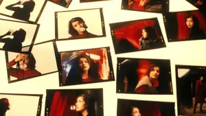 Backdrop to the movie "Three Colors: Red" #725739