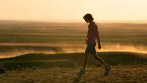 Backdrop to the movie "Bones and All" #240964