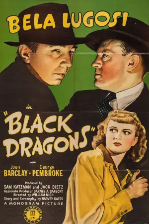 Poster to the movie "Black Dragons" #694106